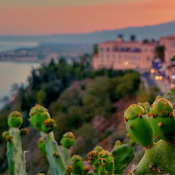 How to make the Sicilian agricultural system more resilient and future-oriented?
