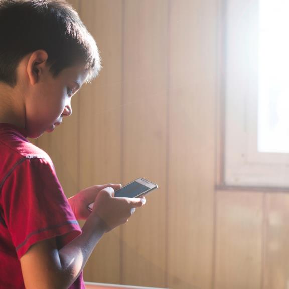 Protection of minors online: the european study on the Digital Services Act (DSA)