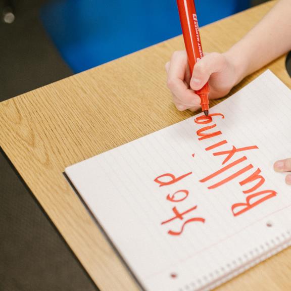 Lattanzio KIBS contributes to two FRANET reports on bullying and LGBTIQ disinformation in education