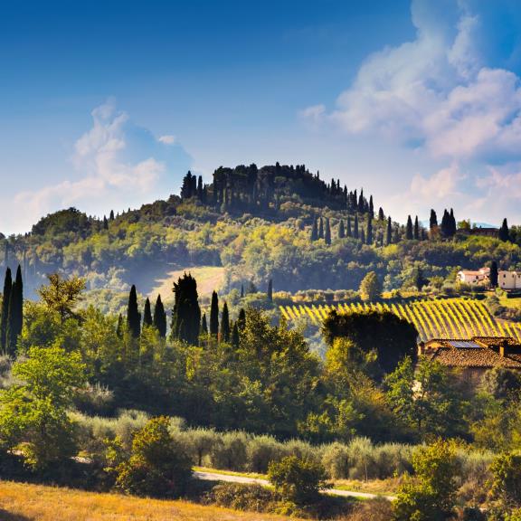 Dalle opinioni dei cittadini una rotta per migliorare l’igiene urbana nell’Ato Toscana Costa