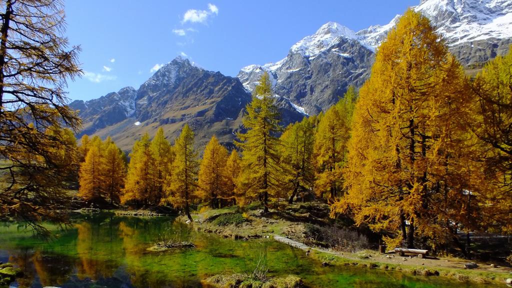 Optimize the Aosta Valley Rural Program with advanced monitoring and reporting