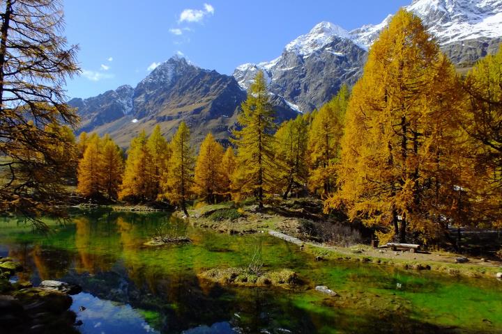 Optimize the Aosta Valley Rural Program with advanced monitoring and reporting