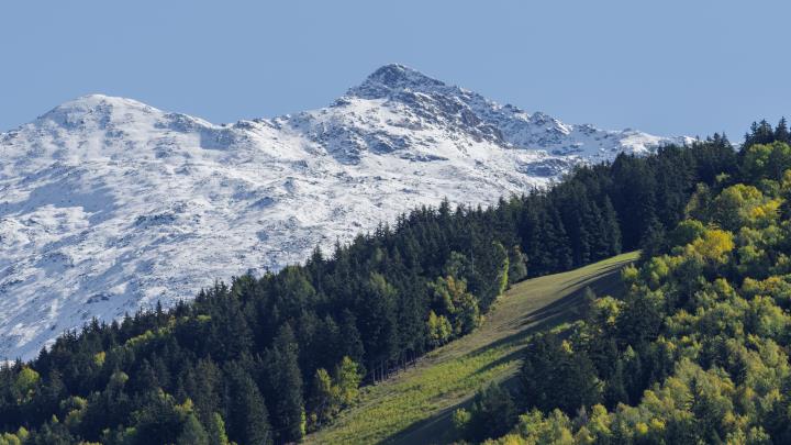 Integrare la sostenibilità ambientale nella programmazione FEASR 2023-2027 Integrare la sostenibilità ambientale nella programmazione FEASR 2023-2027