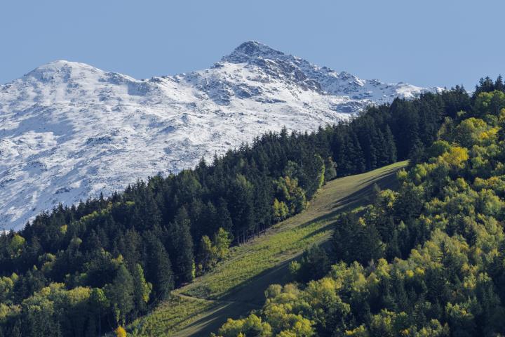 Integrare la sostenibilità ambientale nella programmazione FEASR 2023-2027 Integrare la sostenibilità ambientale nella programmazione FEASR 2023-2027