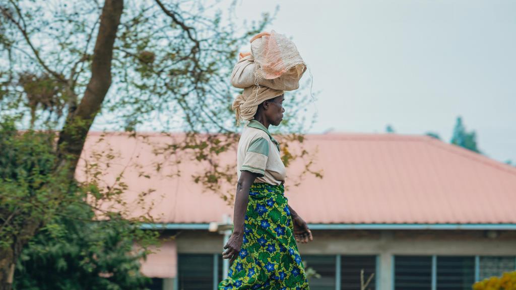 Promoting the economic inclusion of refugees