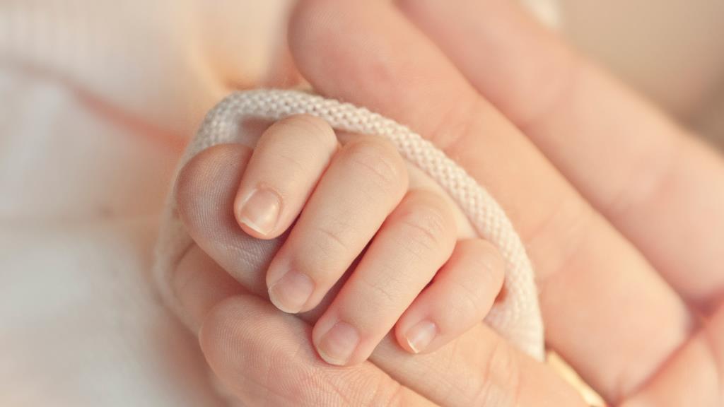 Promotion of gender equality and support for maternity in italian companies