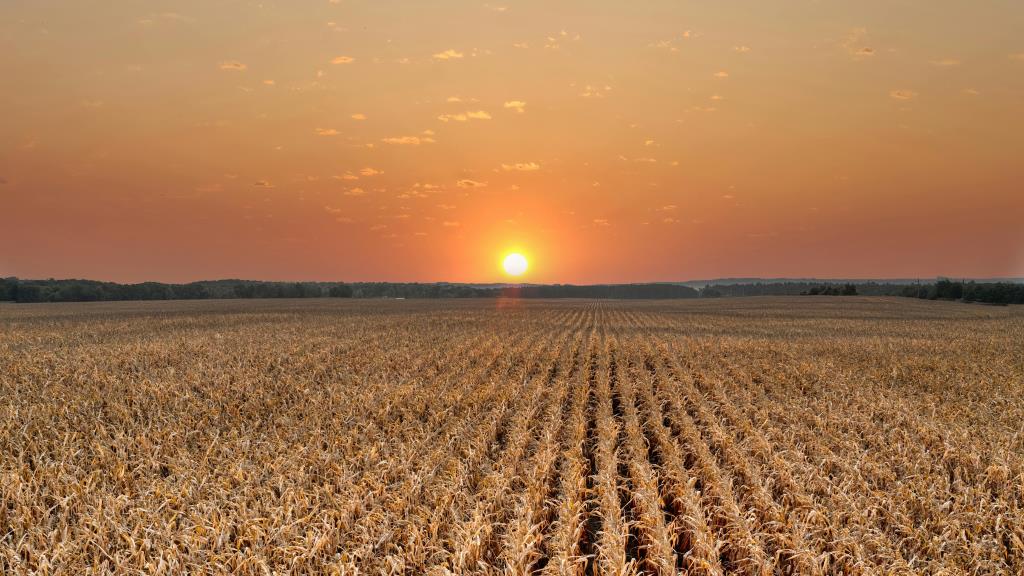 Measuring impact to strengthen italian agriculture