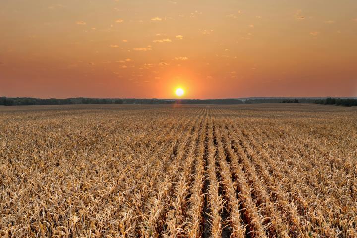 Misurare l'impatto per valorizzare l'agricoltura italiana