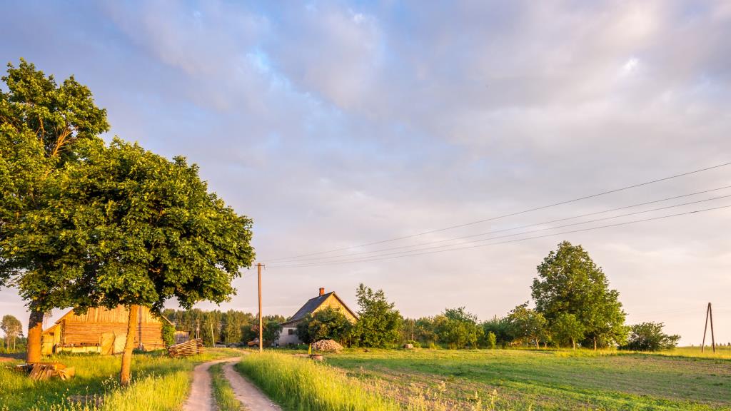 Evaluate and optimize the National Rural Program