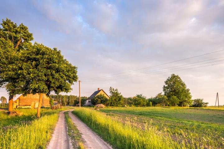Evaluate and optimize the National Rural Program