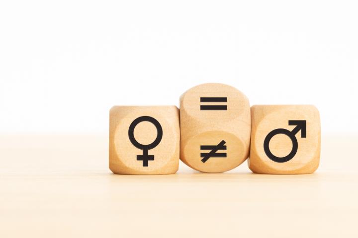 Methods and Evaluation Tools for Gender Mainstreaming (MES)